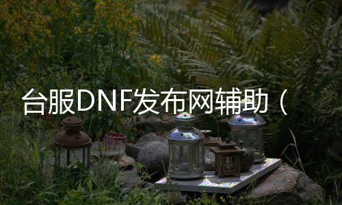 台服DNF发布网辅助（天下dnf台服通用辅助）