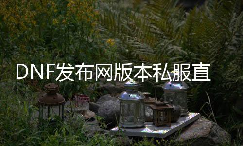 DNF发布网版本私服直播（DNF发布网 直播）