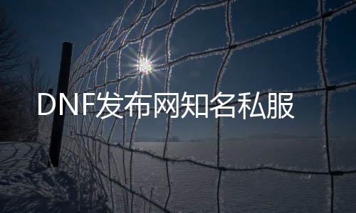 DNF发布网知名私服