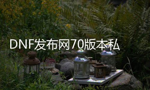 DNF发布网70版本私服人最多（DNF发布网70版本官网）