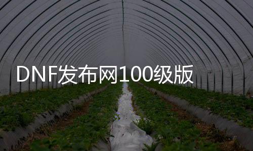 DNF发布网100级版无线智慧（DNF发布网智慧s是什么）