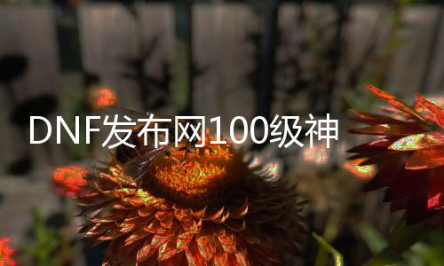 DNF发布网100级神话（DNF发布网与勇士100级神话装备排名）